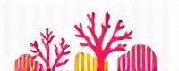corals